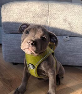 RUBY / FEMALE